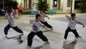 p8240150_1.jpg