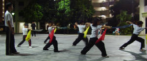 p8240157_1.jpg